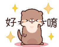 Happy Otter Gif GIFs | Tenor