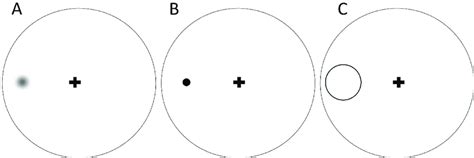 Example stimuli. Schematic diagram showing the fixation cross displayed ...