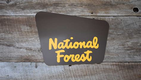 Custom National Forest Sign | Signs of the Mountains