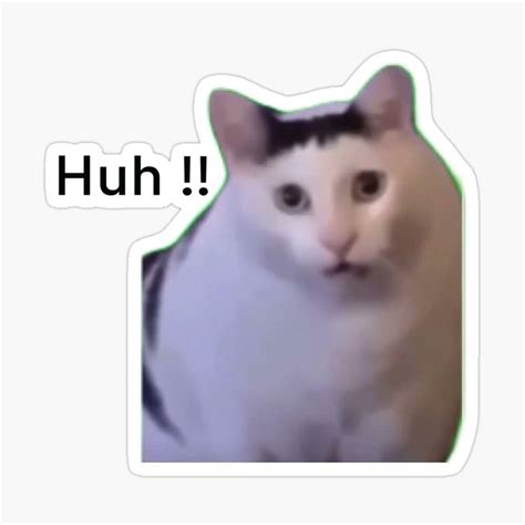 "huh cat meme viral huh? meme" Sticker for Sale by joy4shirt | Meme ...