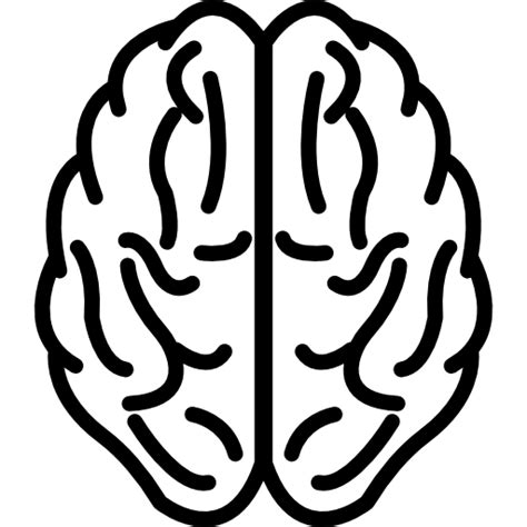 Human brain Logo - upper png download - 512*512 - Free Transparent png Download. - Clip Art Library