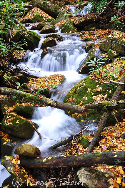 Fall color, Monongahela National Forest | Fall color, Rushin… | Flickr