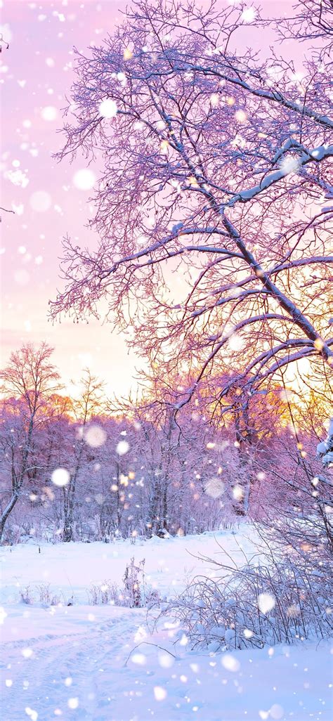 Cute Snow Wallpaper - KoLPaPer - Awesome Free HD Wallpapers