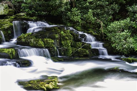 Hidden waterfall inside forest HD wallpaper | Wallpaper Flare