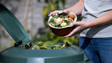 What is composting? Turn food scraps into gardening gold