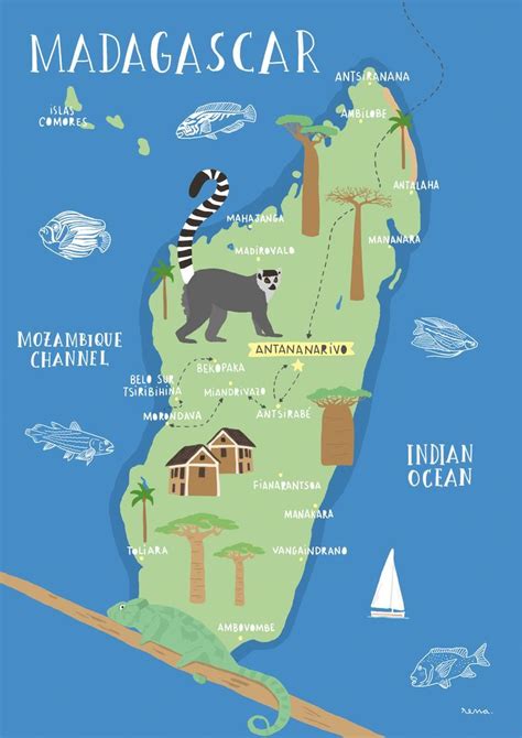 An illustrated Map of Madagascar, place of lemurs, baobabs ... | Map of madagascar, Illustrated ...