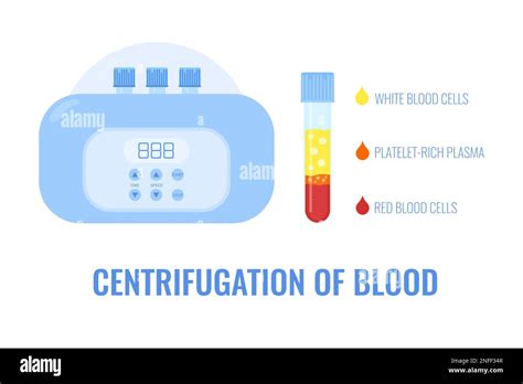 Human blood plasma after centrifugation infographic poster Stock Vector ...