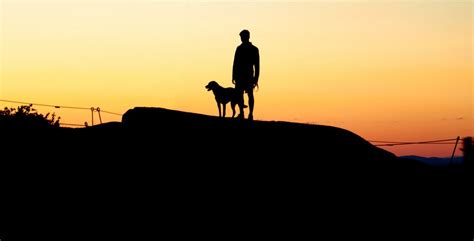 Boy and Dog Silhouette Royalty Free Photo