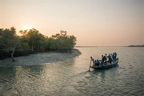 Sundarbans National Park-- Location, How to Reach, Safari