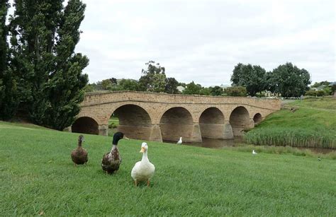 Richmond Bridge, Tasmania