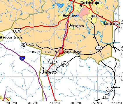 Mount Olive, North Carolina (NC 28365) profile: population, maps, real ...