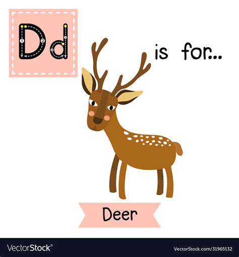 Letter d tracing deer Royalty Free Vector Image