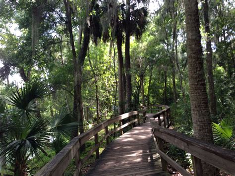 Blue Springs State Park | Blue springs state park, State parks, Blue ...