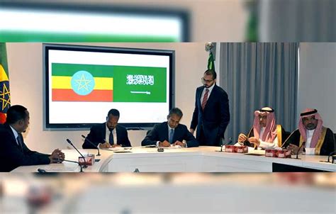 Ethiopia terminates $300 million solar power project with Saudi firm | ETHIOPIANS TODAY