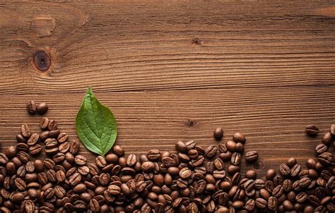 Coffee Bean Wallpapers - Wallpaper Cave