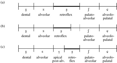 3 Three definitions of retroflex and the resulting category boundaries... | Download Scientific ...