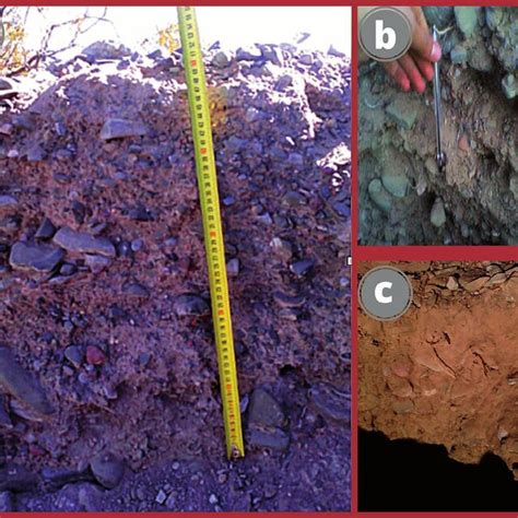 Edaphology of the fan areas studied. a) Intermediate Zone, b) Distal... | Download Scientific ...