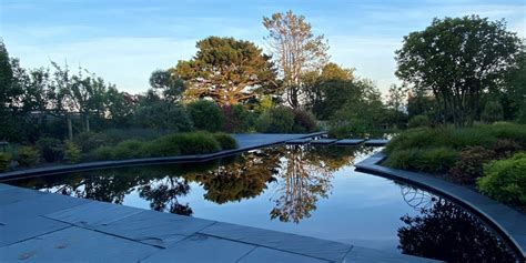 Create a reflection pool using Dyofix Pond Black; An example in Wales