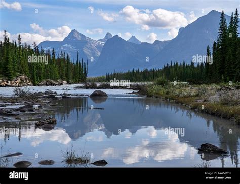 Panoramic image of the Athabasca River, Jasper National Park, Rocky Mountains, Alberta, Canada ...