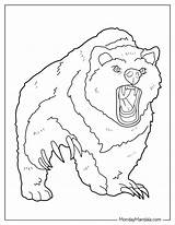 30 Bear Coloring Pages Free PDF Printables sketch template