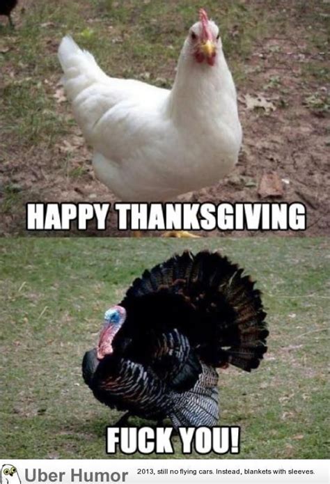 Turkey Funny Memes Thanksgiving Memes - Perpustakaan Sekolah