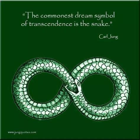 Dream Symbolism of the Snake | Carl jung, Dream symbols, Jung quotes