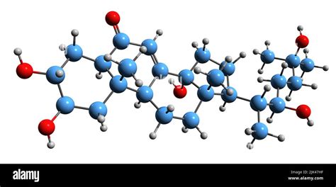 Phytoecdysteroids Cut Out Stock Images & Pictures - Alamy