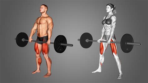 Sumo Deadlift vs Conventional: The Differences Explained - Inspire US