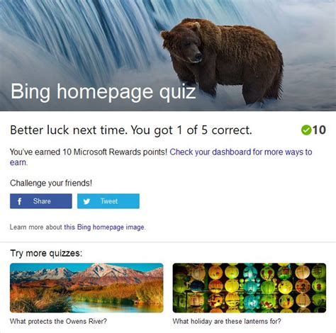 Take the Bing homepage quiz challenge! | Quizzes, Challenges, Bear species