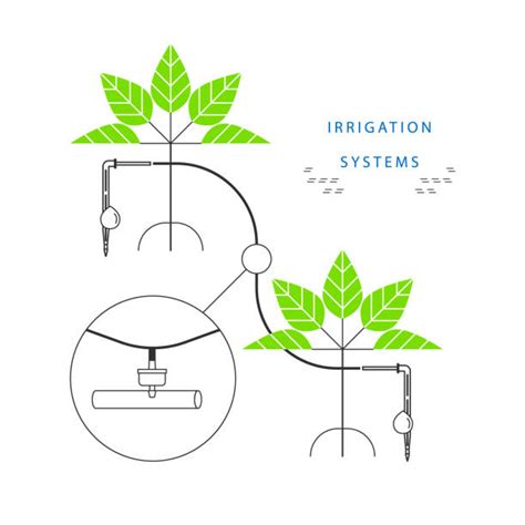 Royalty Free Drip Irrigation Clip Art, Vector Images & Illustrations ...