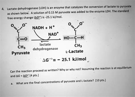 (LDH) is an enzyme that catalyzes the conversion of lactate to pyruvate. Lactate dehydrogenase ...