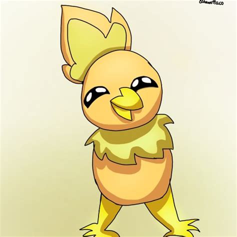 Torchic | Pokémon Amino