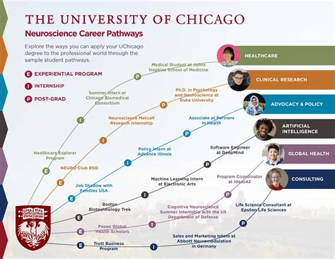 Neuroscience Career Pathways and Advancement | Neuroscience Institute