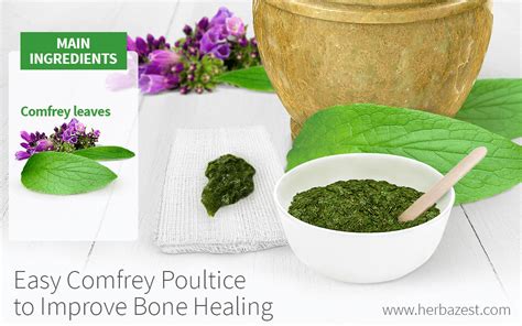 Easy Comfrey Poultice to Improve Bone Healing | HerbaZest