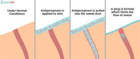 Deodorant vs. Antiperspirant ⋆