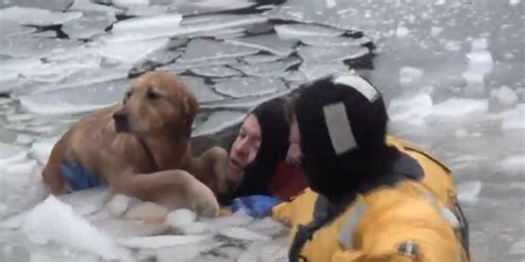 Firefighters Take Icy Plunge To Rescue Dog In Heartwarming Video | HuffPost