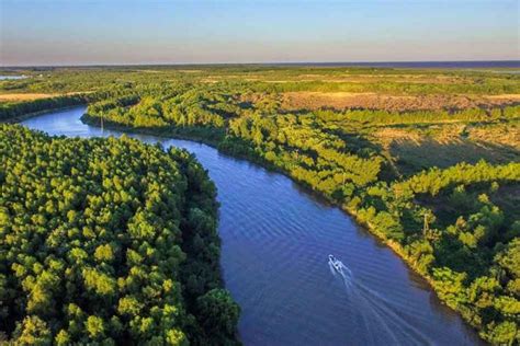 Are There Piranhas In The Parana River? - Piranha Guide