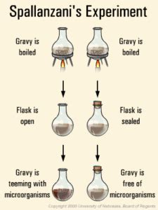 The Theory of Biogenesis | Spallanzani’s and Pasteur’s Experiment