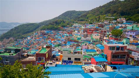 Visit Gamcheon Culture Village: Best of Gamcheon Culture Village, Busan ...