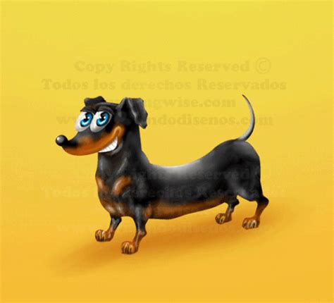 Pin on Dachshund