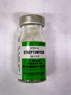 ++สืบค้นยาใน รพ.กบินทร์บุรี++: Streptomycin sufate 1 g, Vial