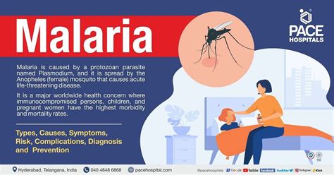 Understanding Malaria: Symptoms, Causes, and Prevention