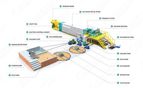 Pulp Molding Process: Paper Pulp Manufacturing Process