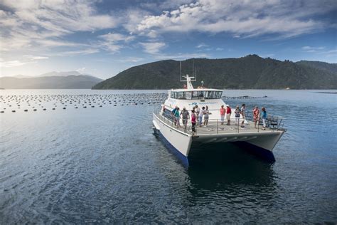 Cruise Marlborough Sounds- Travel and Hospitality Awards