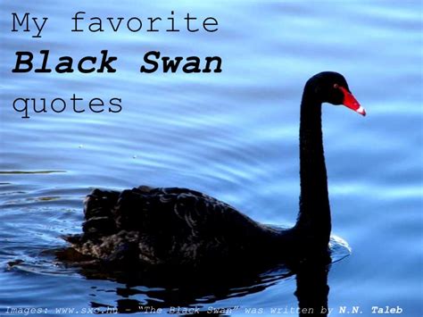 Swan Quotes. QuotesGram