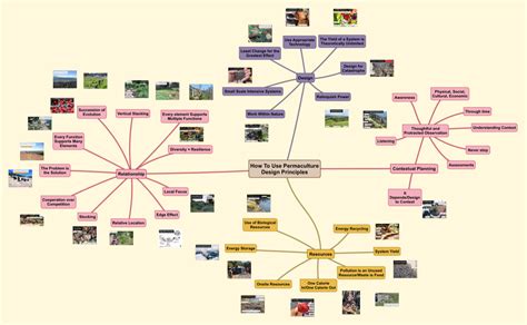 Permaculture Principles in Action Webinar - Permaculture Skills Center