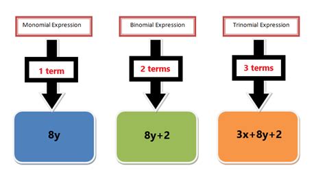 Greatest Common Monomial Factor — Explanation and Examples - The Story of Mathematics - A ...