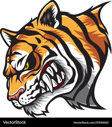 Angry tiger head Royalty Free Vector Image - VectorStock