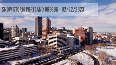 2023 Snow Storm in Portland Oregon - The Day After - YouTube