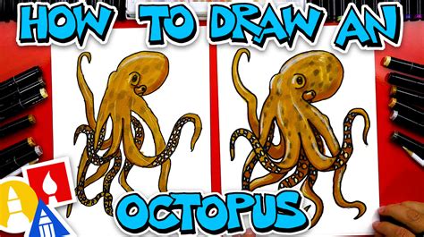 How To Draw A Realistic Octopus - Art For Kids Hub